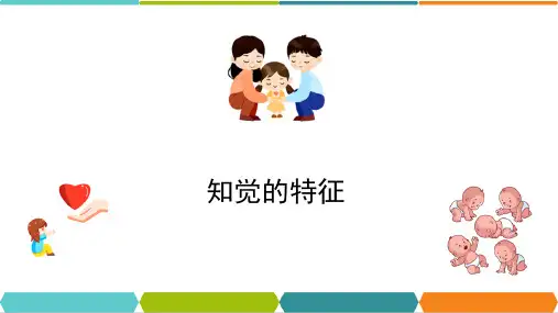 婴儿认知发展—知觉的特征