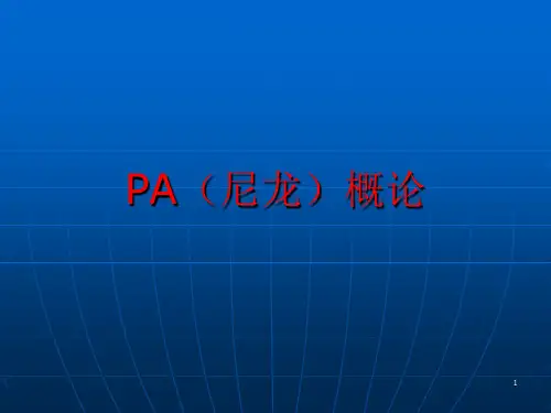 PA基础知识ppt课件