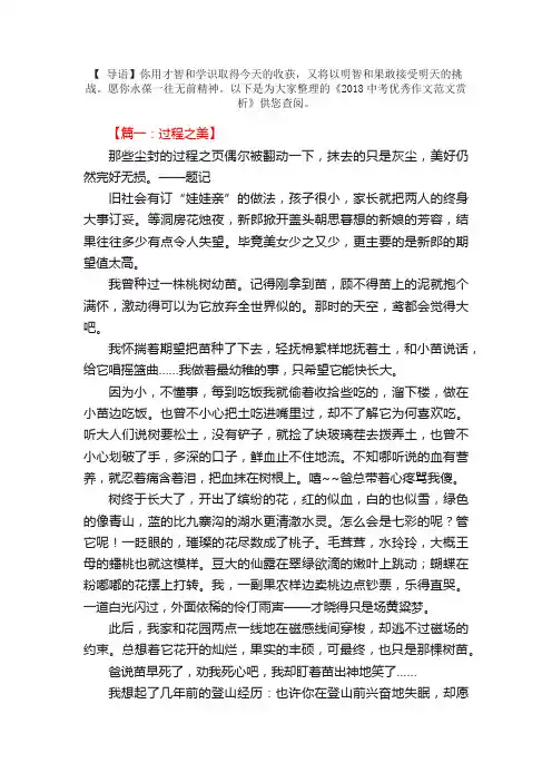 2018中考优秀作文范文赏析