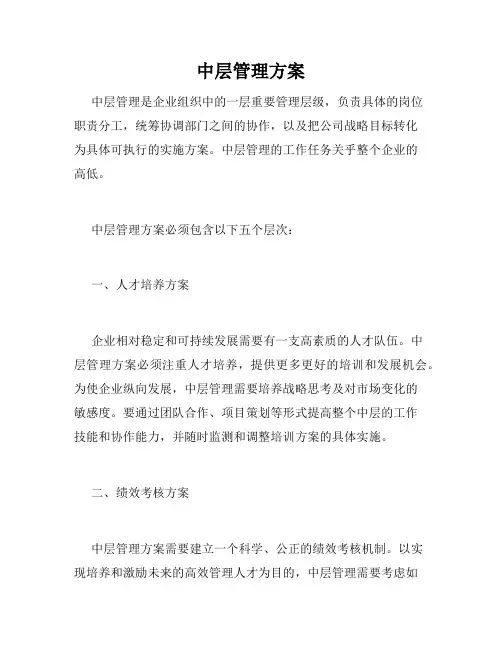 中层管理方案