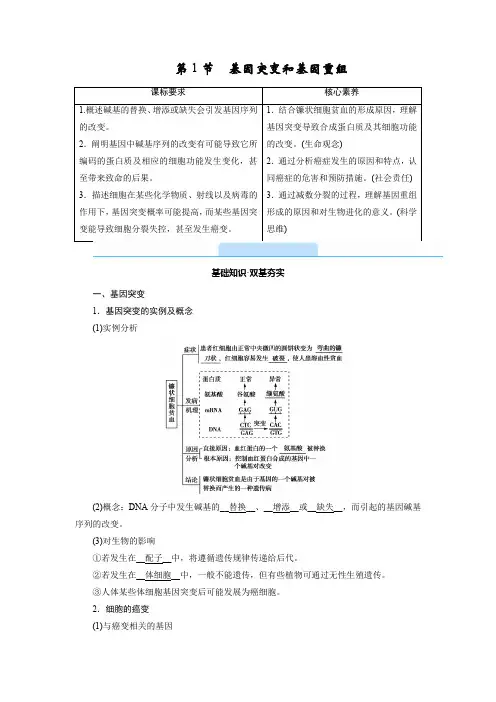 2022-2023学年 必修2 人教版基因突变和基因重组 教案