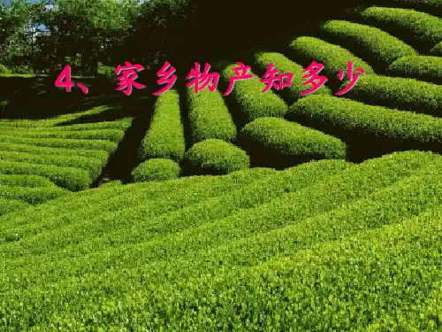 《家乡的物产知多少》PPT课件∣人民未来版