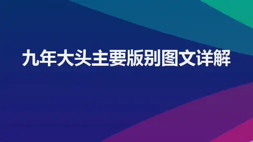民国九年袁大头银元常见版别