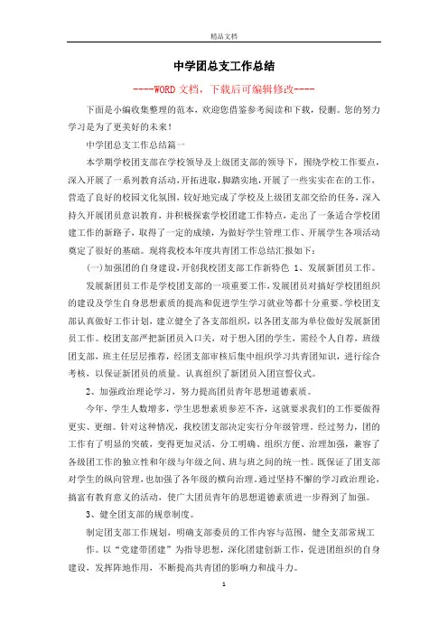 中学团总支工作总结