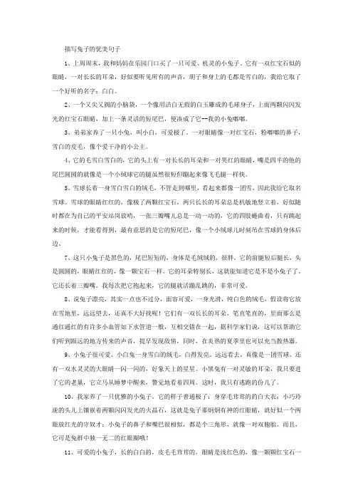 精选描写兔子的优美句子