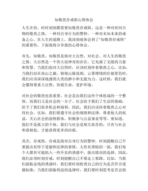 知敬畏存戒惧心得体会