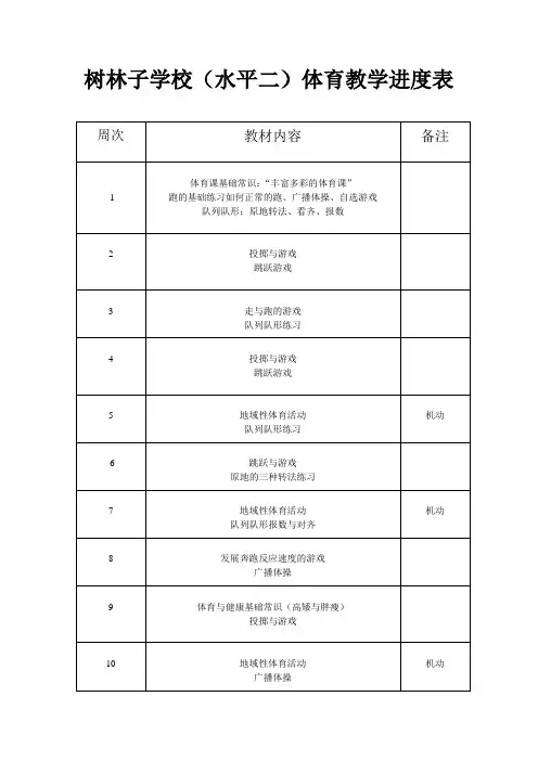 体育教学进度表12345