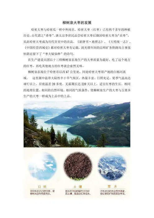 柳树泉大枣卡片