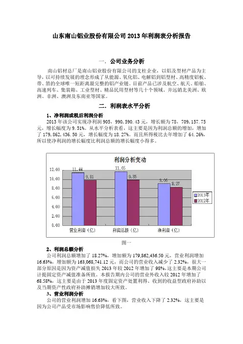 山东南山铝业股份有限公司2013年利润表分析报告