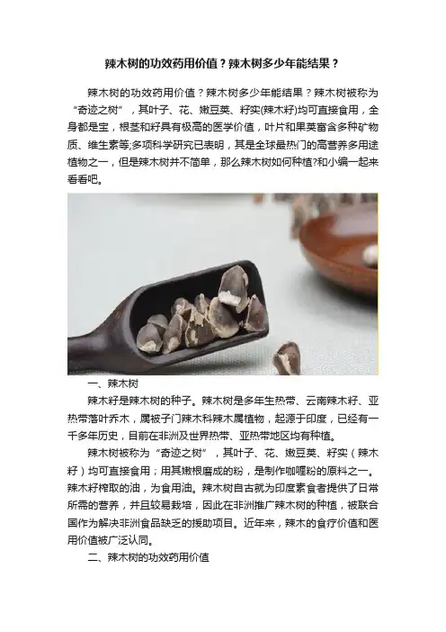 辣木树的功效药用价值？辣木树多少年能结果？