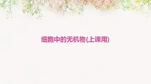 细胞中的无机物(上课用)