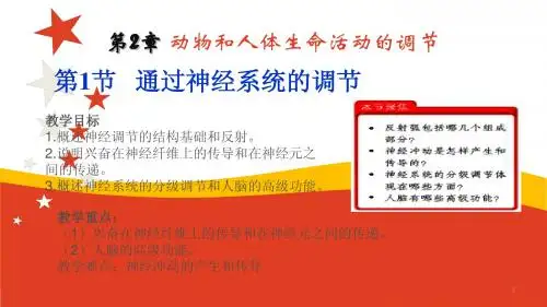 高中生物必修3 稳态与环境2.1通过神经系统的调节(优秀课件)
