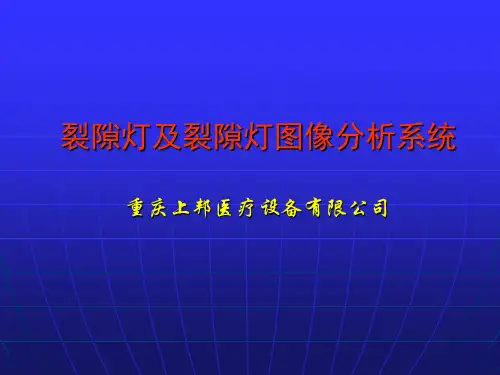 裂隙灯学习资料