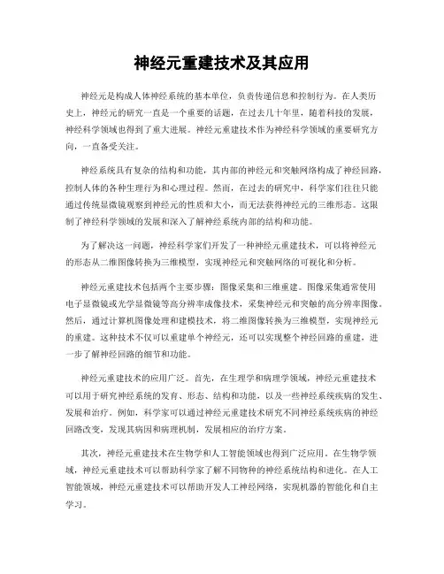 神经元重建技术及其应用