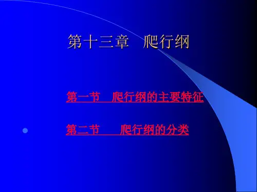 第十二章   爬行纲