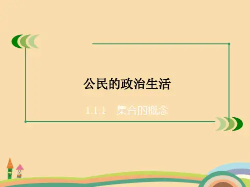 高一政治投出理性一票PPT优秀课件