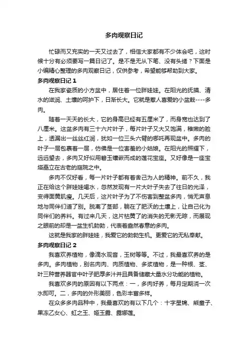 多肉观察日记15篇