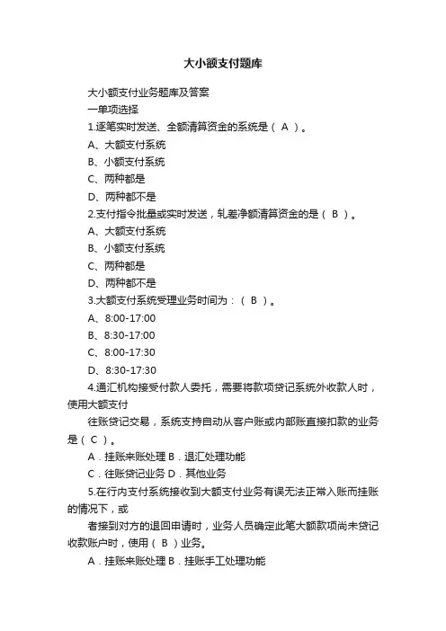 大小额支付题库