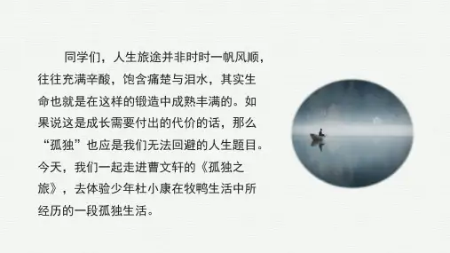 《孤独之旅》ppt课件