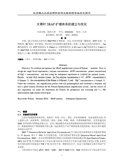 论文简介模板定稿