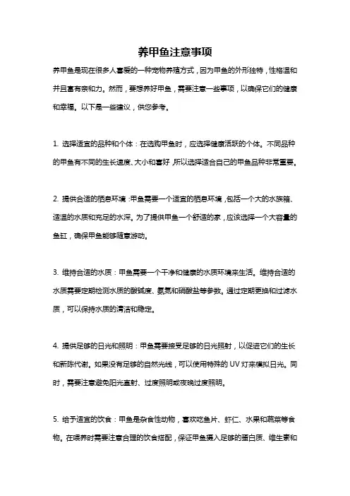养甲鱼注意事项