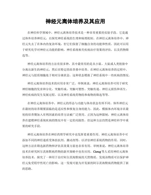神经元离体培养及其应用