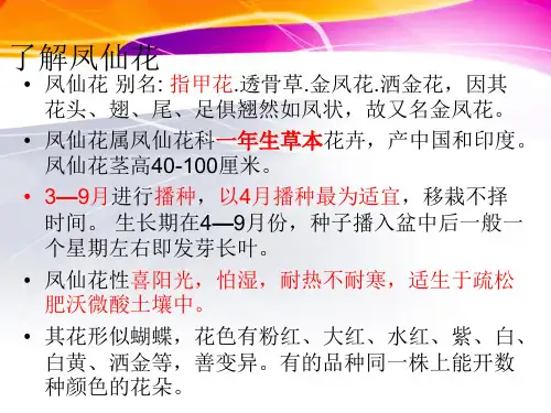 小学科学种植我们的植物-PPT课件