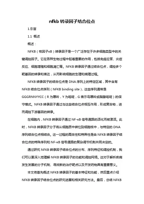 nfkb转录因子结合位点