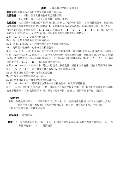 实验一人染色体核型分析