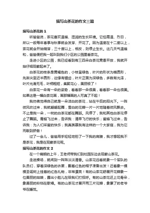 描写山茶花的作文三篇