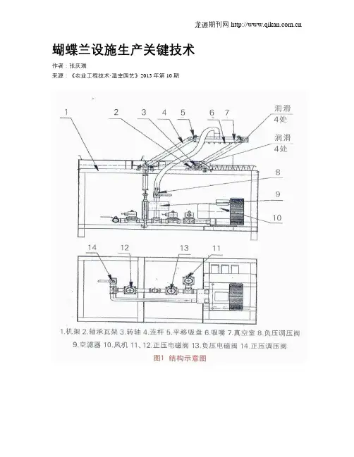 蝴蝶兰设施生产关键技术