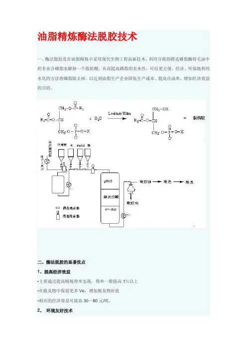 油脂精炼酶法脱胶技术