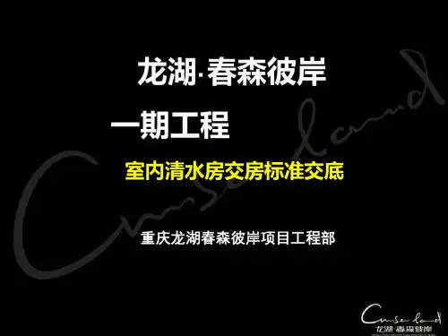 交房样板标准(龙湖)-PPT精品文档