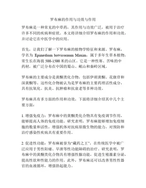 罗布麻的作用与功效与作用