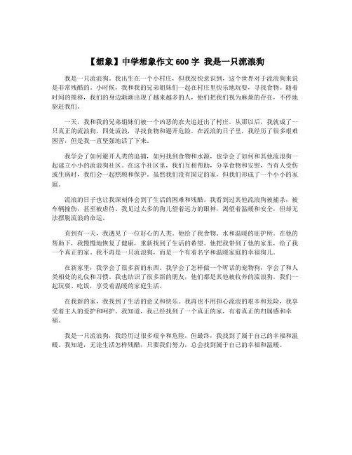 【想象】中学想象作文600字 我是一只流浪狗