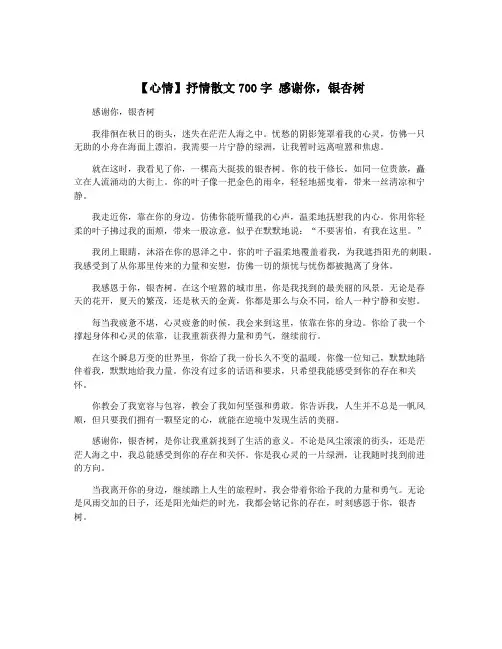 【心情】抒情散文700字 感谢你,银杏树