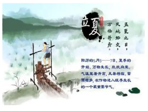 斗蛋比赛