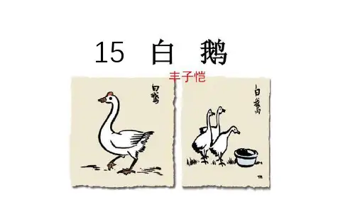 部编版语文四年级下册15白鹅课件(共14张PPT)