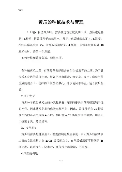 黄瓜的种植技术与管理