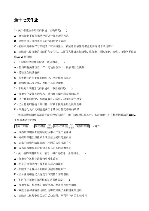 高二生物暑假作业：第十七天作业