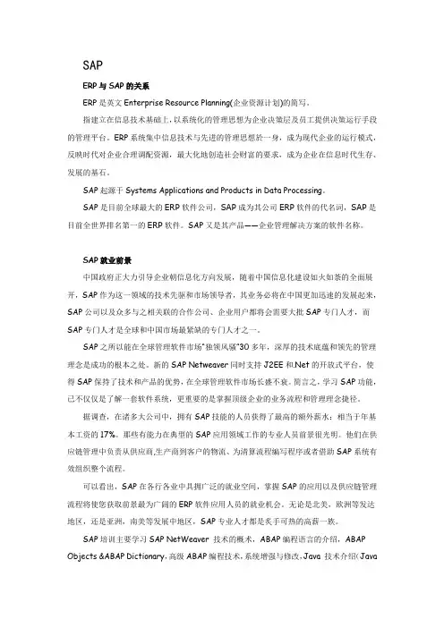 SAP简单介绍