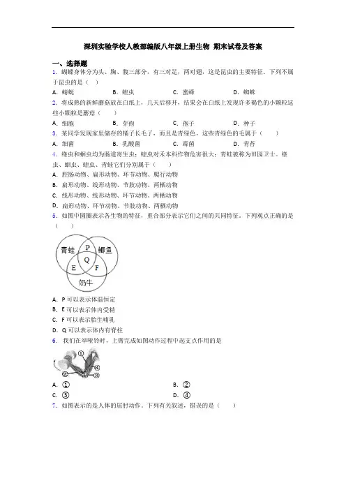 深圳实验学校人教部编版八年级上册生物 期末试卷及答案