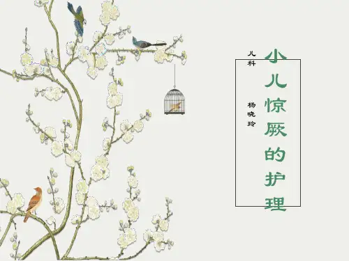 小儿惊厥的护理课件