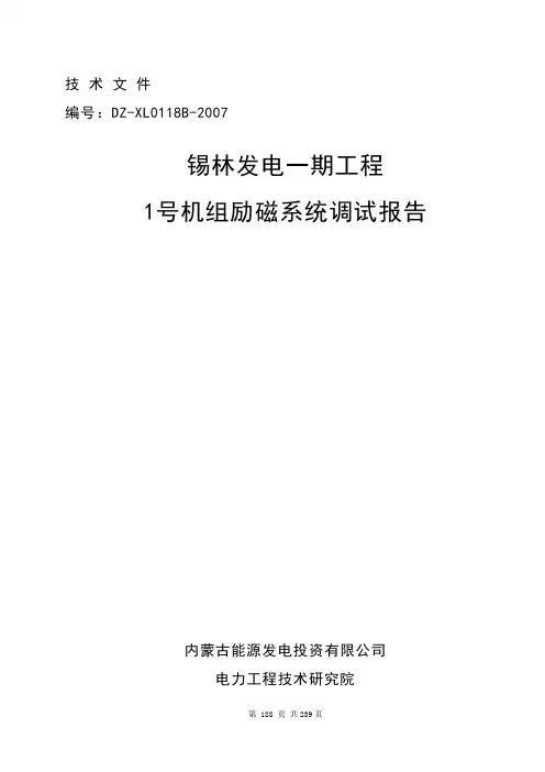 励磁系统报告