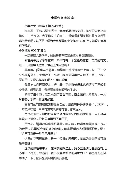 小学作文600字