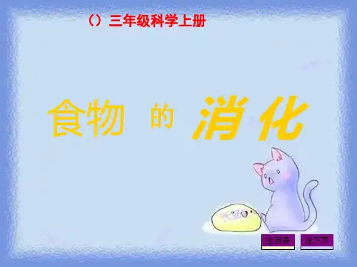 食物的消化(鄂教版)三年级上册