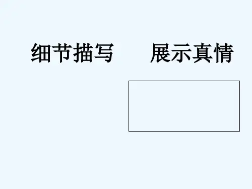 细节描写展示真情