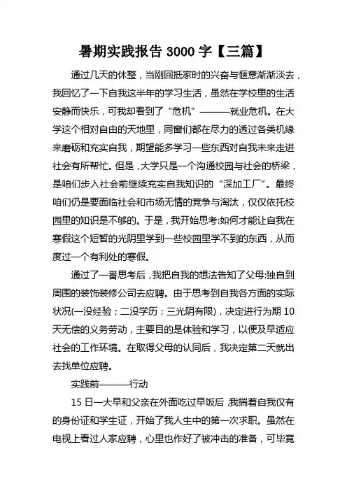 暑期实践报告3000字【三篇】