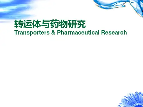 转运体与药物研究PPT课件