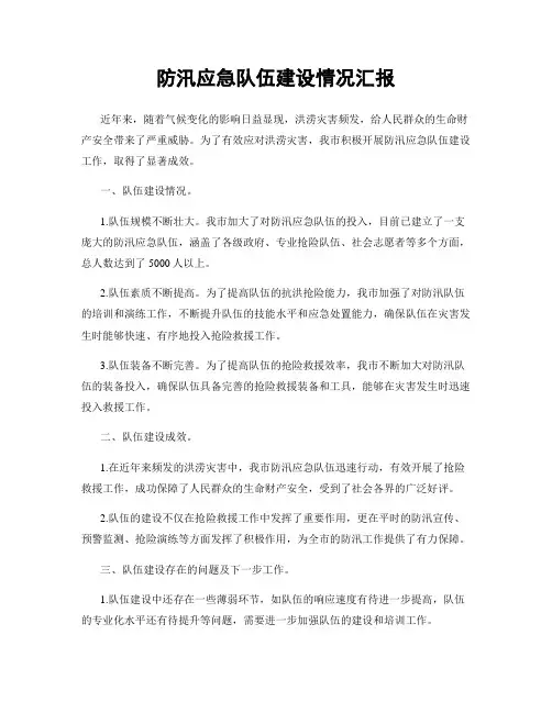 防汛应急队伍建设情况汇报